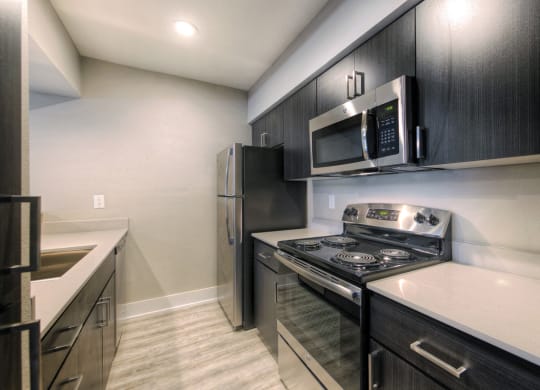 The Icon on Central Apartments in Phoenix, Arizona Kitchen