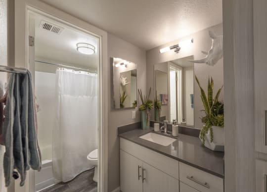 The Icon on Central Apartments in Phoenix, Arizona Model Bathroom