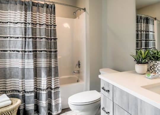 The Lakes at Eagle Model Bathroom with Bathtub