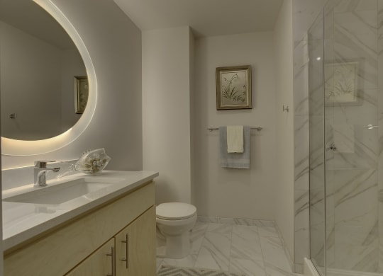 The Mercer_Mercer Island WA_Apartment Master Bathroom Vanity