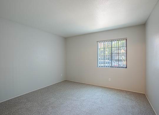 A room with a window and carpeted floor.