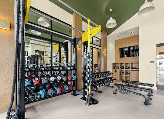 A gym with a variety of equipment including dumbbells and weight machines.
