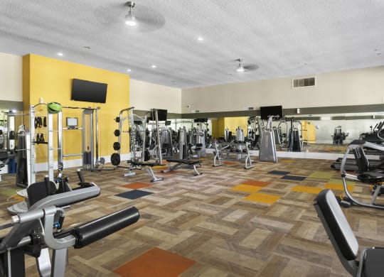 Tides at South Tempe Fitness Center with Equipment