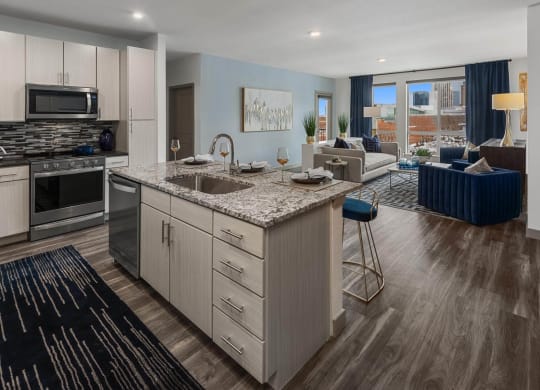 TriVista on Speer Model Kitchen
