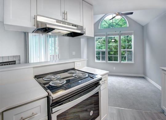Orchard Ridge Kitchen and Living Room
