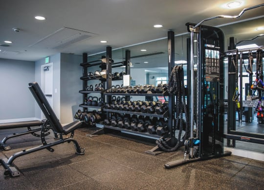 a home gym with weights and a rack of dumbbells