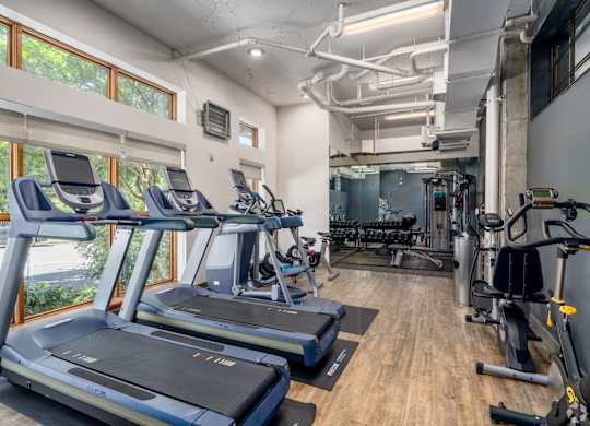 A gym with treadmills and exercise equipment.
