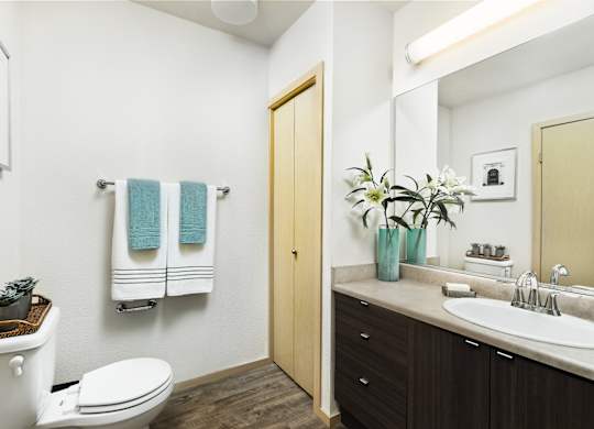 A bathroom with a toilet, sink, and towel rack.
