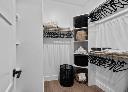 walk-in closet at Lenox Grand, Austin, 78727