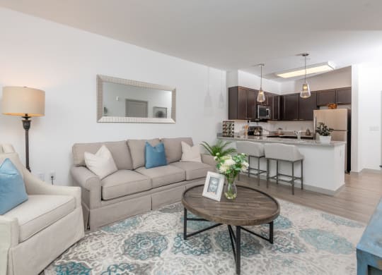 Zen Apartments Living Room and Kitchen