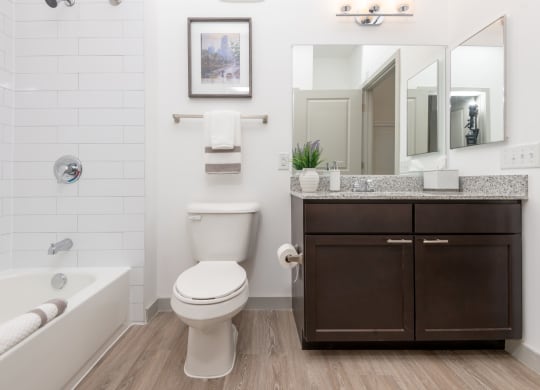 Zen Apartments Bathroom with Bathtub
