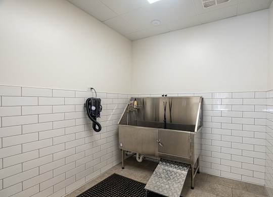 Pet wash room with white tiled walls and pet spa station at Sylvan Uptown, Denver, CO, 80203