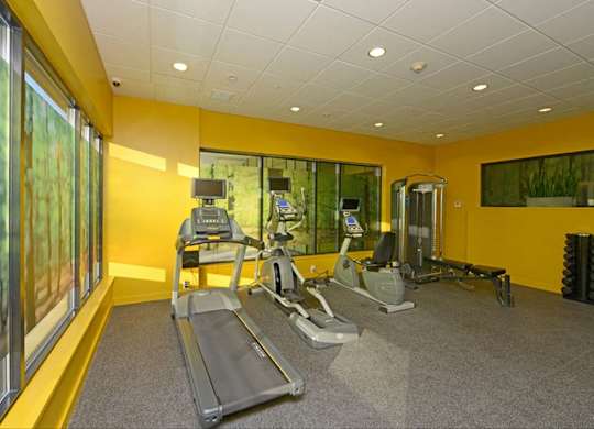 Fitness Center with Updated Equipment at 603 Concord, Cambridge, Massachusetts 02138