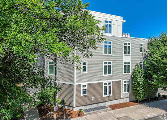 A grey building with green trees in front at 7 Cameron Apartments, Cambridge 02140