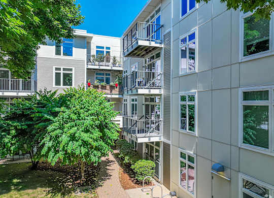 Courtyards with greenery at 7 Cameron Apartments, Cambridge, MA, 02140