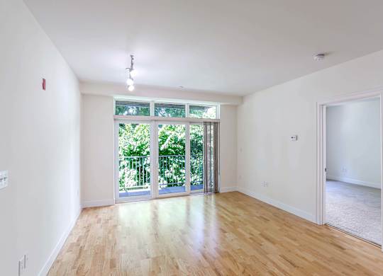 A room with wooden floors and large windows at 7 Cameron Apartments, Cambridge, MA, 02140