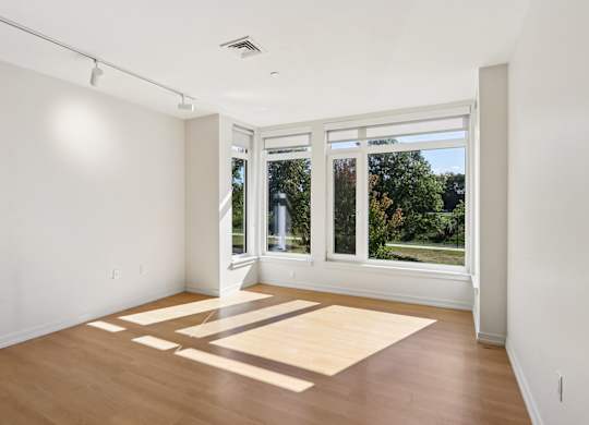 Living Room with Natural Light at Park77 Apartments, Cambridge, MA, 02138