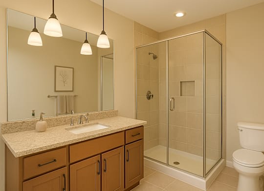 A bathroom with a sink, mirror, toilet and shower.