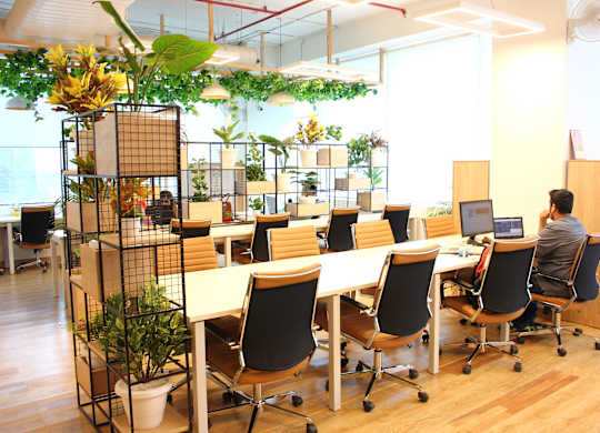 community workspace with hanging plants