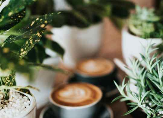 a row of coffee cups on a table with plants