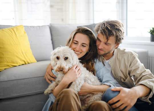 A couple is sitting on a grey couch with a dog between them.