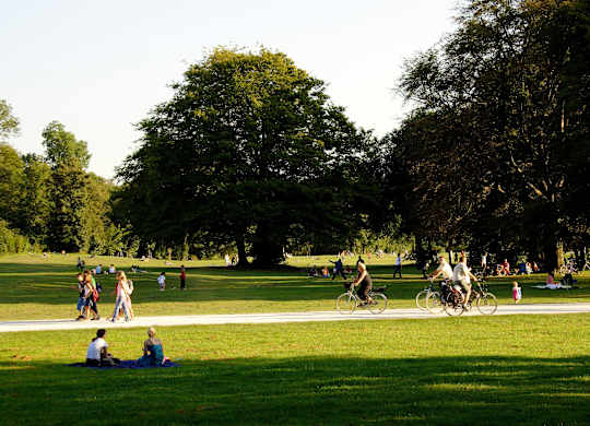 A group of people are riding bikes in a park.