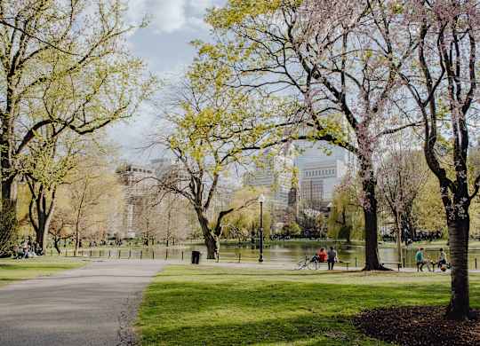 A park with people walking and biking.