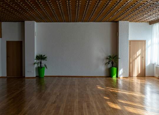 A room with wooden floors and a wooden ceiling with two green plants on it.