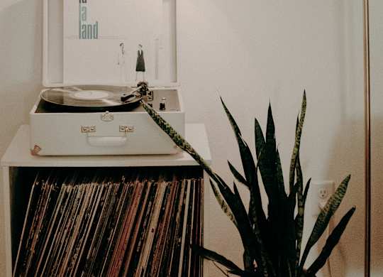 a living room with a record player and a plant