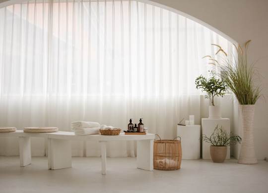 A white room with a table and chairs and a plant.