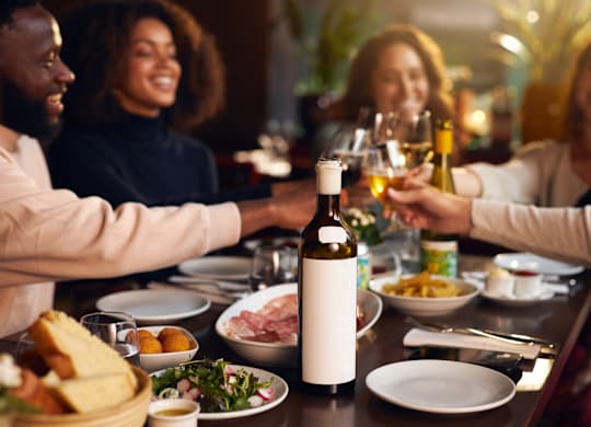 A group of people toasting with wine glasses at a dinner table.