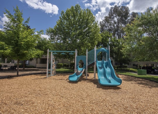 Autumn Oaks Playground Slide View