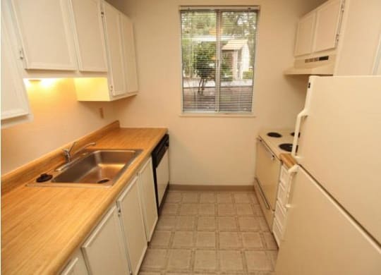 Cornell Woods Vacant Apartment Updated Kitchen