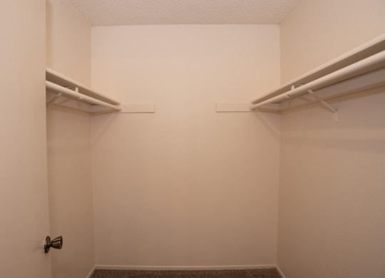 Delta Pointe Windjammer 3x2 vacant primary bedroom walk in closet