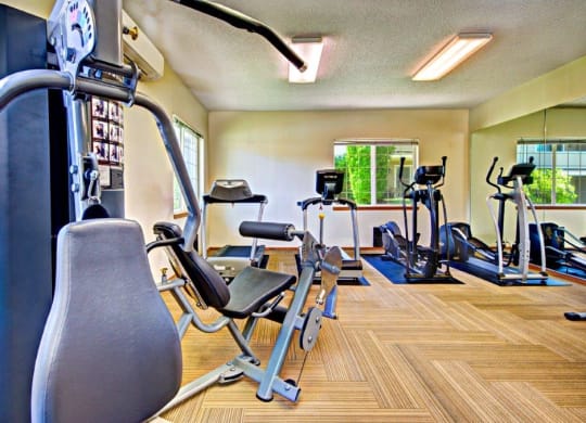 Maple Pointe Fitness Center & Equipment