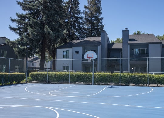 Pheasant Pointe Basketball Court