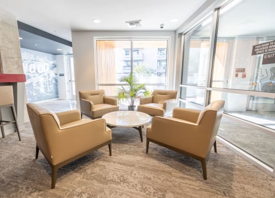 a lounge area with chairs and a coffee table