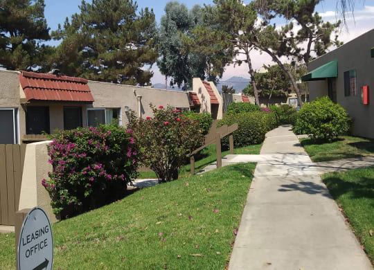 Beautifully landscaped walkways between buildings at Teton Pines Apartments in Escondido, California.