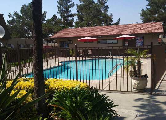 Swimming pool and sun deck at Teton Pines Apartments in Escondido, California.