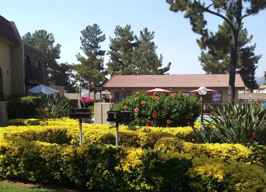 Barbeques and swimming pool surounded by beautiful gardens at Teton Pine Apartments in Escondido, California.