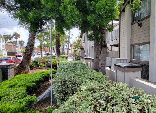 Front walkway and gorgous gardens in front of Lakeshore Terrace Apartments in Lakeside, California.