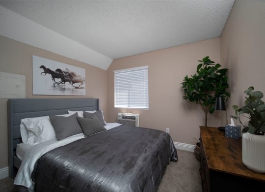 Bedroom in model unit with berber carpet and custom window blinds at the Atrium Apartments in San Diego, California.