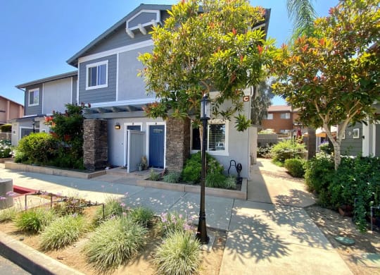 Landscaping around townhomes at The Nines Townhomes in Escondido, California.
