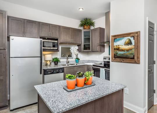 119 South apartments kitchen