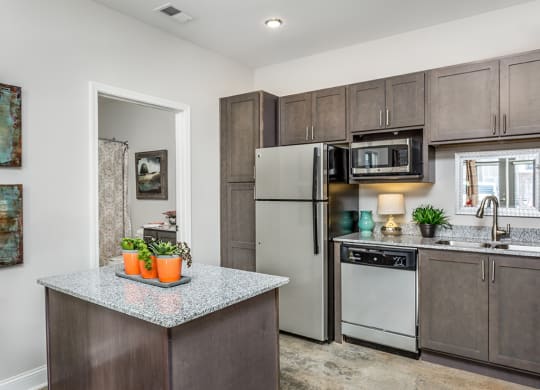 119 South apartments kitchen