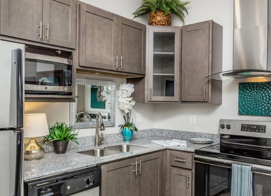 119 South apartments kitchen