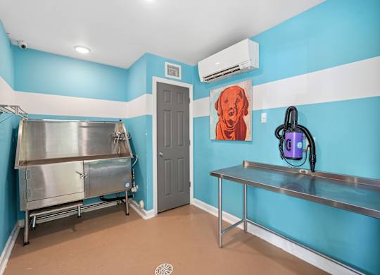 A room with blue walls and a dog painting on the wall.