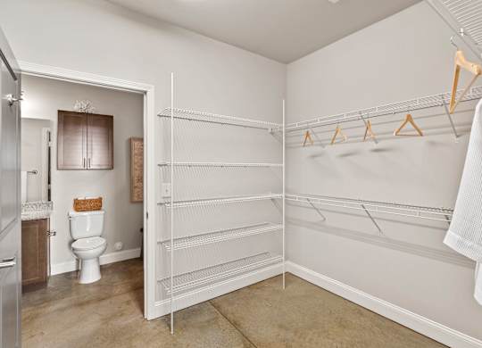 A white bathroom with a toilet and a walk-in closet.