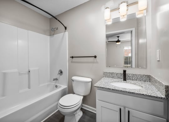 addison point interior home bathroom with a sink toilet and a bath tub