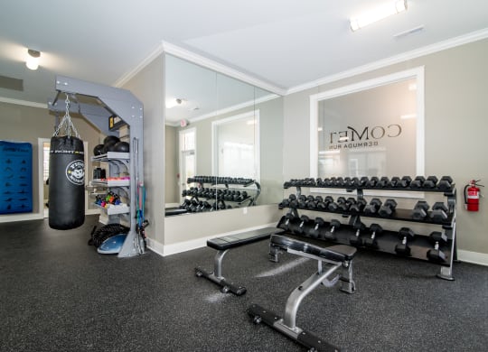 the weights room at the preserve at great pond apartments in windsor ct